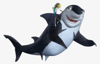 Download - Kleine Haie Große Fische #9609845