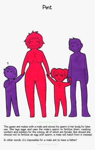 Ant Humoncomics - Com - Animal Mating Habits #9609966