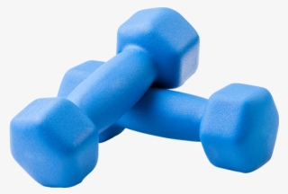 Dynamic Networks - Dumbbell #9610321