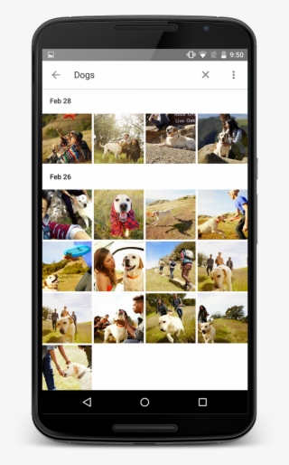 Google Photos #9611892
