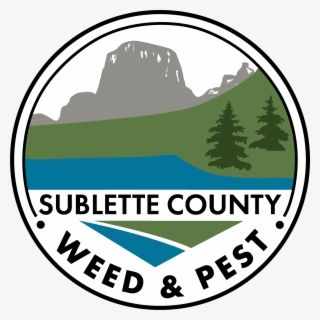 Colorado Spruce #9612908