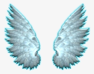 980 X 816 4 - Stock Dove #9613200