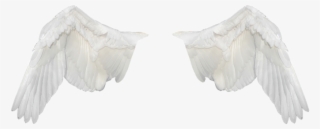Alas Blancas Png #9613293