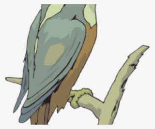 Kingfisher Clipart - Cartoon #9613842