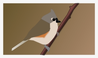 This Free Icons Png Design Of Turfted Titmouse #9613953