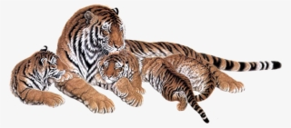 Tiger Images Hd - 水墨 素材 #9614544