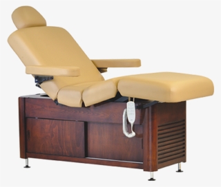 Maharaja Electric Spa Massage Table - Recliner #9614873