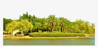 Clip Free Download Vector River Scenery - Attalea Speciosa #9616535