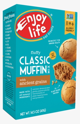 Enjoy Life Foods #9620194