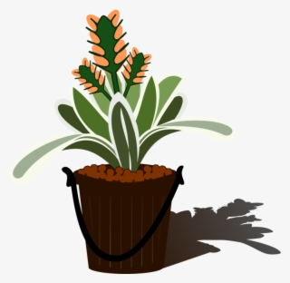 Flowering Aechmea Flowerpot Free - Bromelia Png Clipart #9620866