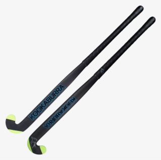 Ski Head Prestige 2016 #9622376