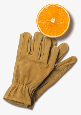 Florida's Natural Orange Juice The Best Orange Juice - Orange #9624532