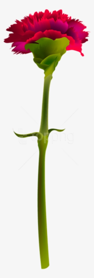 Free Png Download Red Carnation Png Images Background - Transparent Background Red Carnation Png #9624939