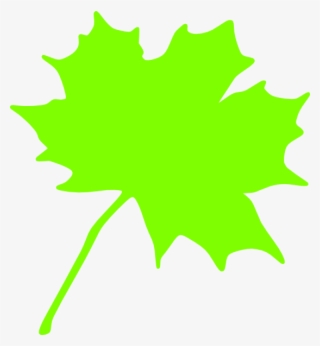 How To Set Use Green Leaf Clipart #9625035