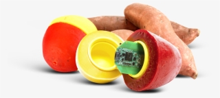 Reduce Waste By Minimizing Bruising, Shatter Damage - Baby Toys #9625296