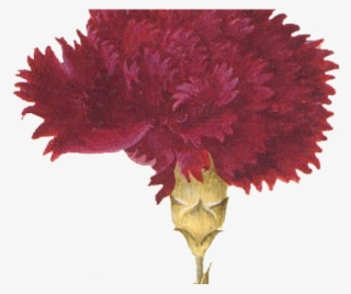 Carnation Clipart Tribal - Tractor Gear Parts #9625348