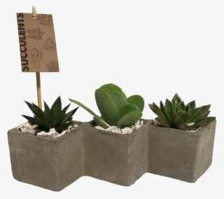 More Views - Flowerpot #9625520