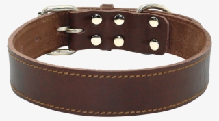 Thick Dog Collars #9625715
