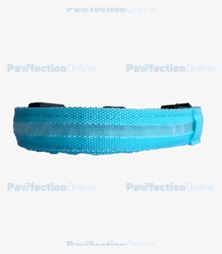 The Durable Nylon Blue Led Dog Collar Is Part Of The - Bag #9625719