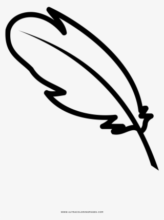 Quill Coloring Page #9625725