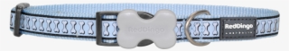 Red Dingo Small Dog Collar Reflective Bones Blue-a126646 - Buckle #9625772