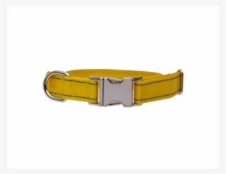 Belt #9625810