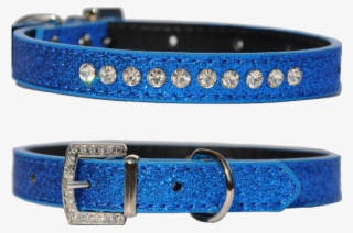 Candy Finish Blueberry Coloured Dog Collar With Rhinestone - Buckle #9625887