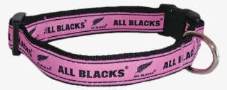 All Blacks Dog Collar Pink - Great Dane #9625930