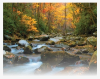 Autumn Stream Landscape Art Painting #9626507