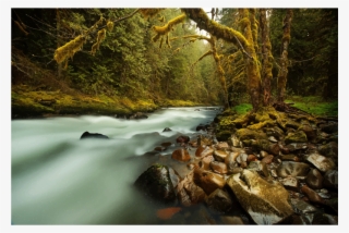 Medium Image - George Santayana The Earth Has Music For Those Who #9626583