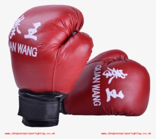 Walker Martial Arts Shot Boxing Gloves Adult Exercise - Amateur Boxing #9627212
