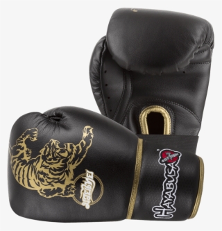 Muay Thai 10oz Gloves - Hayabusa Tiger Gloves #9627431