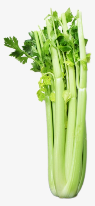 Celery - Broccoli - Leaf Vegetable #9628072