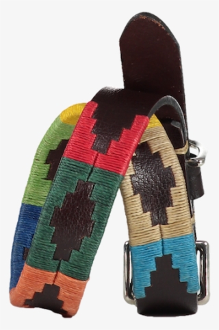 Fino Arco Iris Polo Dog Collar - Belt #9628354
