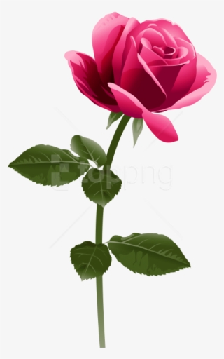 Free Png Download Pink Rose Image Clipart Png Photo - Pink Rose Png Clipart #9628816