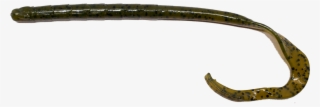 10" Mondo Worm - Bay Pipefish #9628880