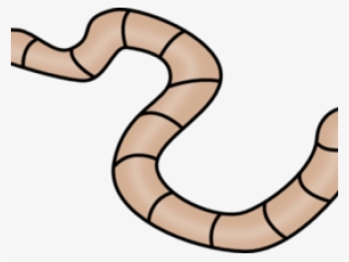 Worm Clipart Outline - Worm Clipart Transparent Background #9629148
