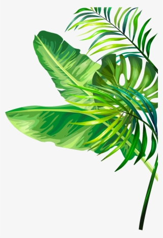 The Little Flower Shop #9631636