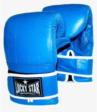 Img - Amateur Boxing #9632568