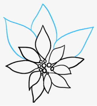 How To Draw Poinsettia - Line Art #9632577
