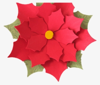 Annual Plant #9632697