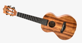 Regarded As Two Of The Top Ukulele Strings On The Market - Acoustic Guitar #9632800