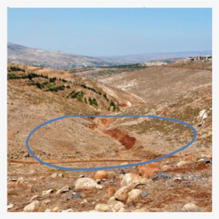 Lebanon Project Proposal For Ecological Restoration - Sand #9633479