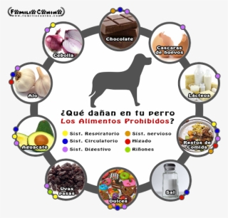 El Calambombo Hueso Grande De Res Es Recomendado Para - Rottweiler #9633690