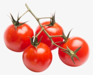 Tomatoes - Plum Tomato #9634887