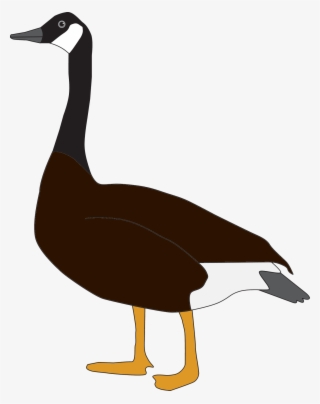 Goose Free Pictures - Goose Png #9635796