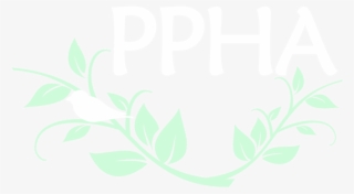 Vine Border Png #9635801