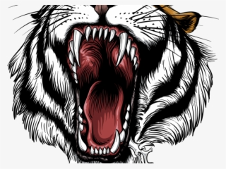Drawn Tiiger Open Mouth - Roaring Tiger #9636201