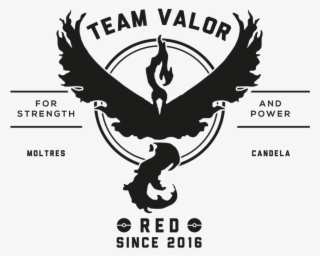 Team Valor #9637277