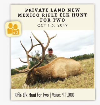 Private Land New Mexico Rifle Elk Hunt For Two - Elk #9639694